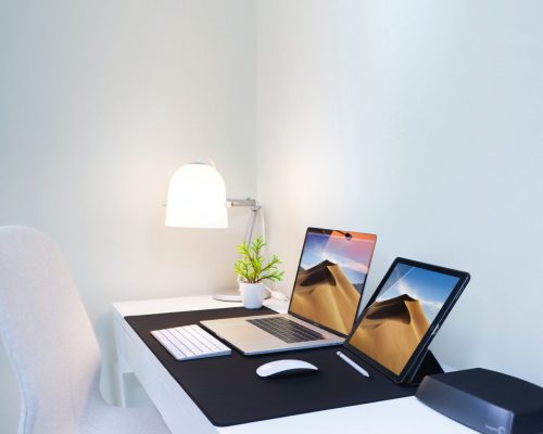 pexels-elvis-2528118